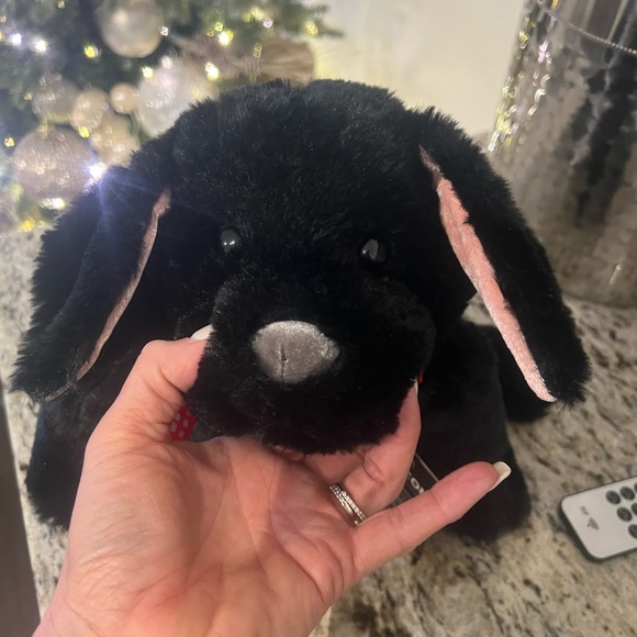 NWT Two blind Brothers Beacon plush dog - Picture 3 of 11